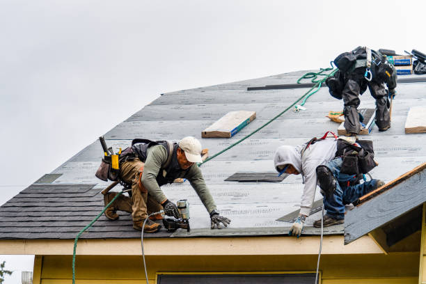 Professional Gutter Installation technician working in Camden, AL